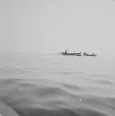 Sjöutsikt, roddbåtar.
Frankrike