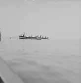 Sjöutsikt, roddbåtar.
Frankrike