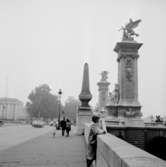 Stadsvy, bro och byggnader. En kvinna på bron.
Paris, Frankrike.