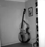 Musikinstrument: bas.
Skandia