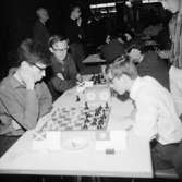 Schack VM i augusti 1966.
Holland-Schweiz.
