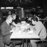 Schack VM i augusti 1966.
