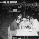 Schack VM i augusti 1966.
Sverige-Kuba.