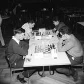 Schack VM i augusti 1966.