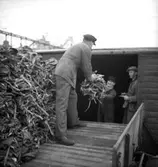 Lastbil, lastning, tre män.
Svenska Militär och Sportutrustnings AB (SMS).