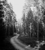 Skogsområde.
Askers Häradsallmänning.