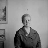 En kvinna, bröstbild.MajBilden tagen för pass.