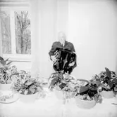 Rumsinteriör, en man med dragspel, Kexens pensionärer. Personalklubben uppvaktar.
Örebro Kexfabrik.