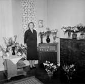 Rumsinteriör, en kvinna.Fru Svea Edwardsson på 50 årsdagen.