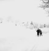 Skidåkning, två personer.