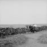 Familjegrupp på utflykt.