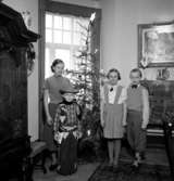 Rumsinteriör, familjegrupp fyra personer vid julgranen.Elof Larsson