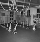 Interiör av gymnastiksal, Örebro Arbetarnas Gymnastikförening (Ö.A.G.F.), gymnastiktrupp.