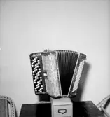 Musikinstrument: dragspel.
Skandia