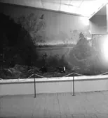 Gävleutställningen, interiör.