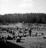 Riksmästerskapet i orientering.
Konsum.