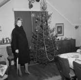 Rumsinteriör, en kvinna vid julgranen.Plutt