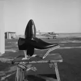 Ett par skor.
Oscaria Skofabrik.