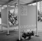 Oscarias monter på utställningen 