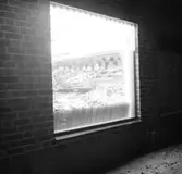 Konsum, affärsbyggnad, skyltfönster med frukt.
Viberg (beställare ?).