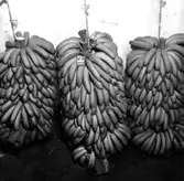 Bananer.
Banan Kompaniet.