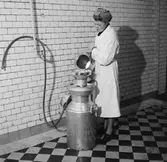 Mejeriföreningen, en kvinna.
Beställare: Sedell.