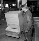 Konsums snickeriverkstad, interiör, en man.
Beställare: Viberg.