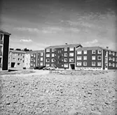 Bostadsområde.
Baronbackarna, Örebro.
Arkitekt Alm
Ekholm & White