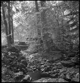 Hallersbyns gamla kvarn.