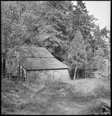 Hallersbyns gamla kvarn.