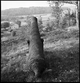 Ödeborg, Fornsalskullen.