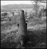 Ödeborg, Fornsalskullen.