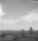 Grönhult, byggnader.17 augusti 1939.