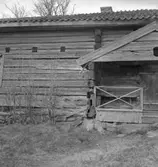 Kullängsstugan, exteriör.27 april 1939.