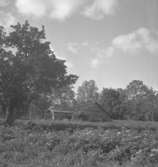 Byggnad.5 september 1941.