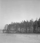 Glanshammar. Vy.3 januari 1941.