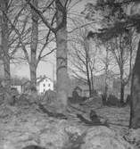 Odensbacken, fornlämningar.
17 april 1941.