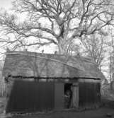 Byggnad.22 november 1942.