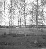 Utsikt.
22 november 1942.