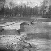 Stadsparken.
1943.