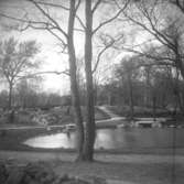 Stadsparken.
1943.