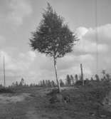 Ramundeboda.7 september 1943.