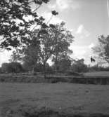 Konsta. Byggnader, träd.
24 augusti 1943.