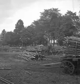 Rönneshytta. Vagn med ved.
10 september 1945