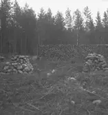 Bulltorp, fornlämningar.
25 september 1945