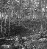 Öjetorp, fornlämningar, skogsparti.
4 oktober 1945