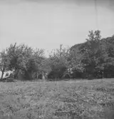 Brändåsen, fornlämningar.
28 juni 1945