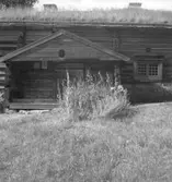 Kullängsstugan, exteriör.29 juni 1945