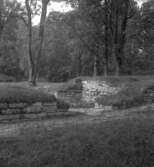 Riseberga klosterruin.
9 augusti 1945