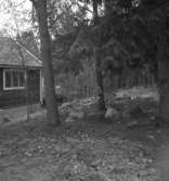 Lungersåsen, bostadshus.
4 oktober 1946